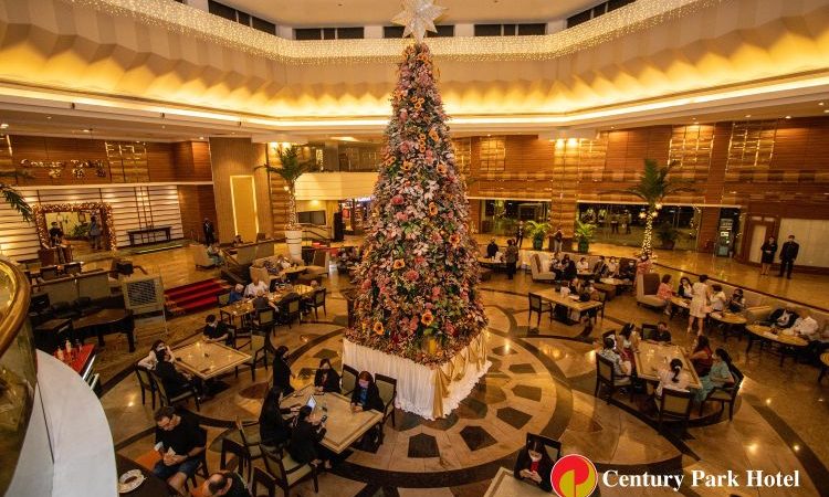 CENTURY PARK HOTEL HOLDS ANNUAL CHRISTMAS TREE LIGHTING CEREMONY
