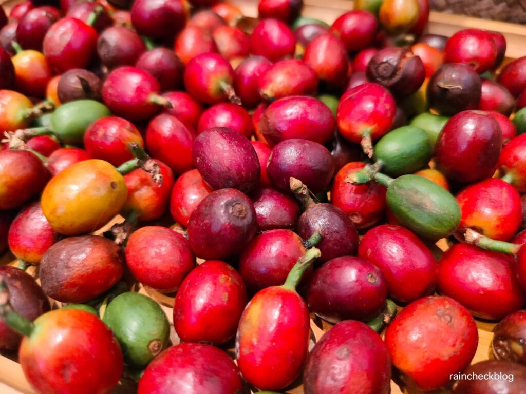 philippine coffee expo