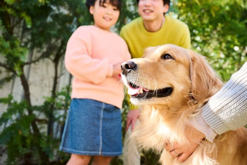 Pet’s Date Night 2025