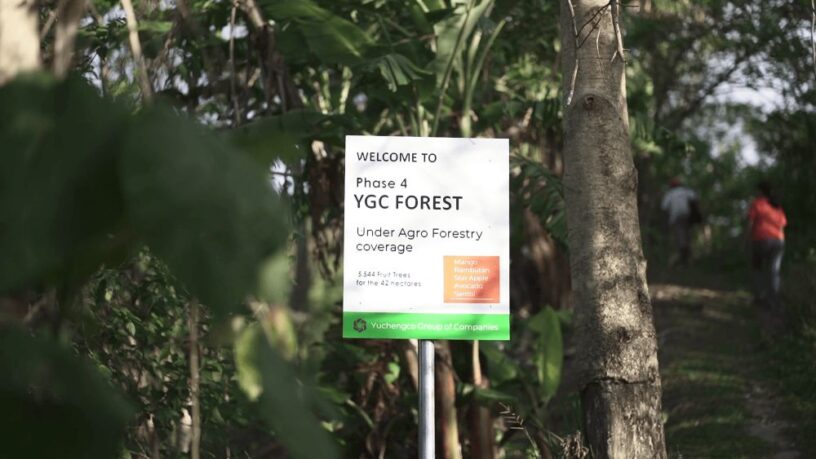 YGC