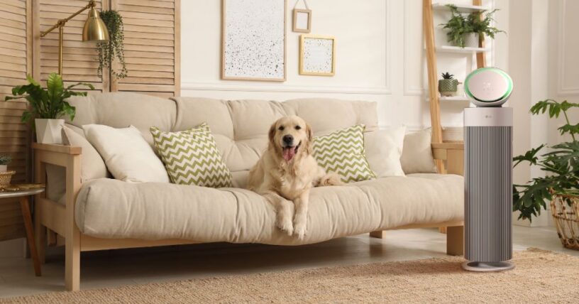 LG AEROBOOSTER PET