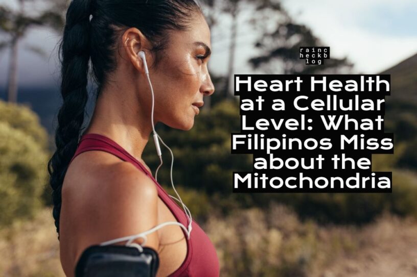 mitochondria
